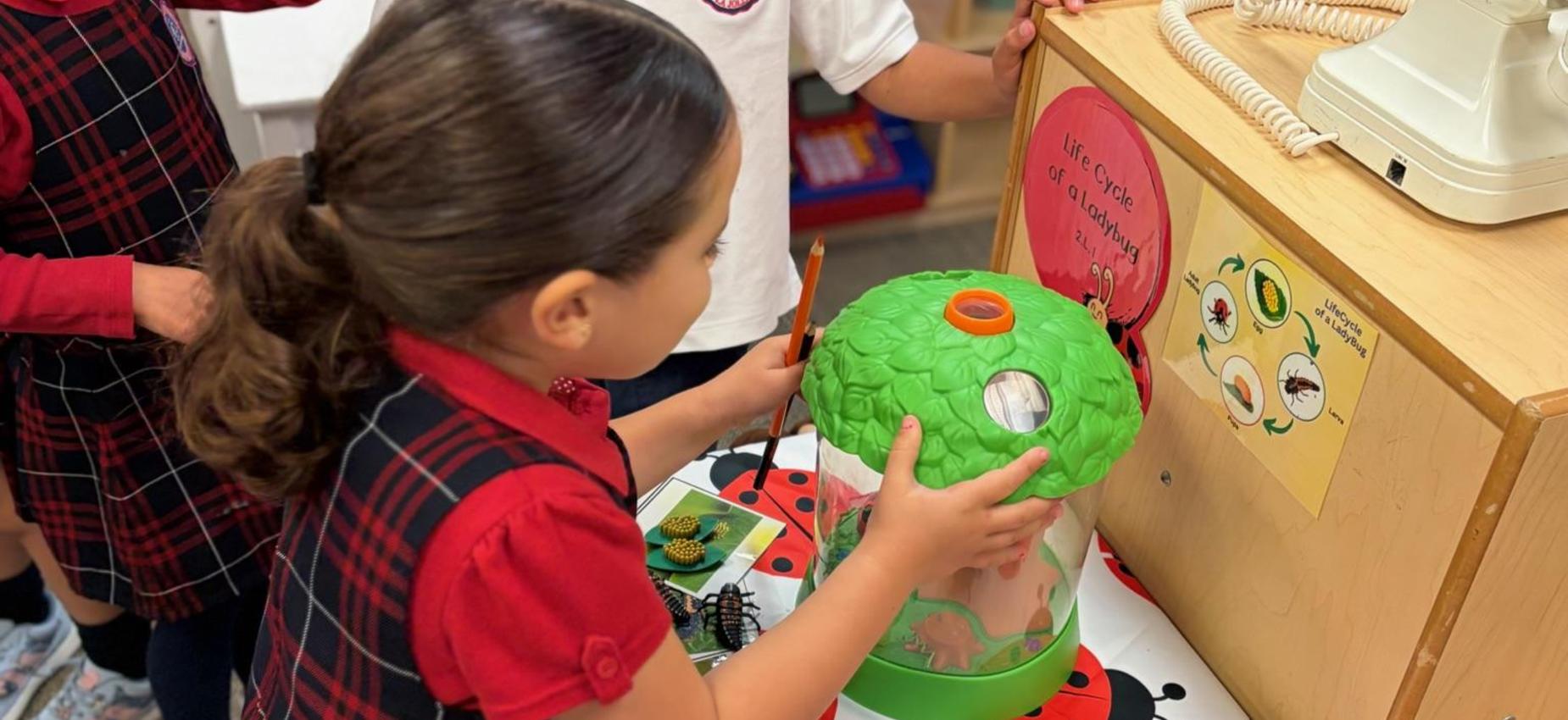 TK students check on ladybags as they learn about the life cycle