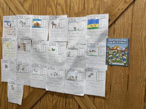 Opinion Writing