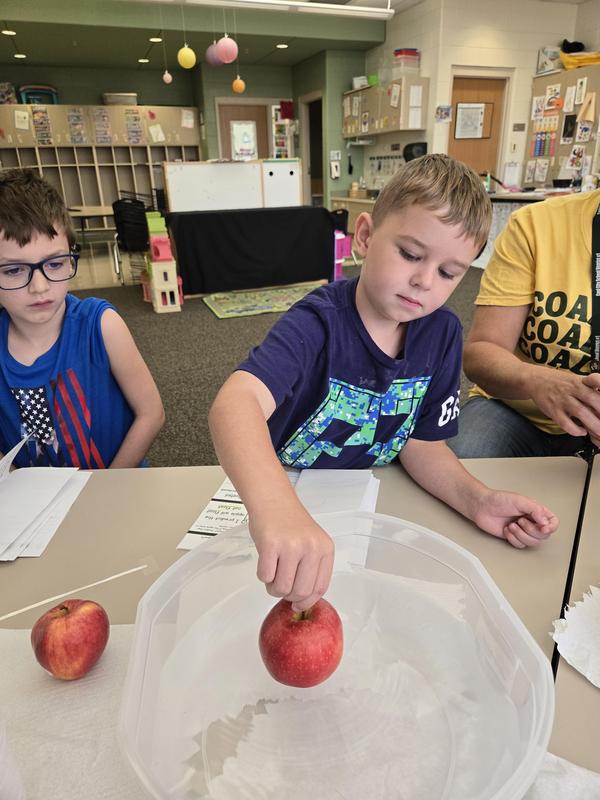 Students help find the prized apple