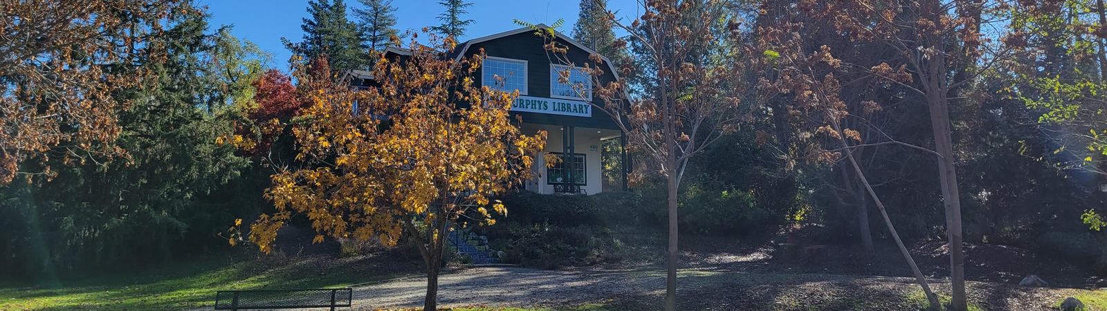 library building with fall colored trees