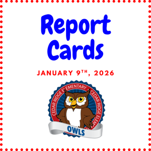 Report Cards