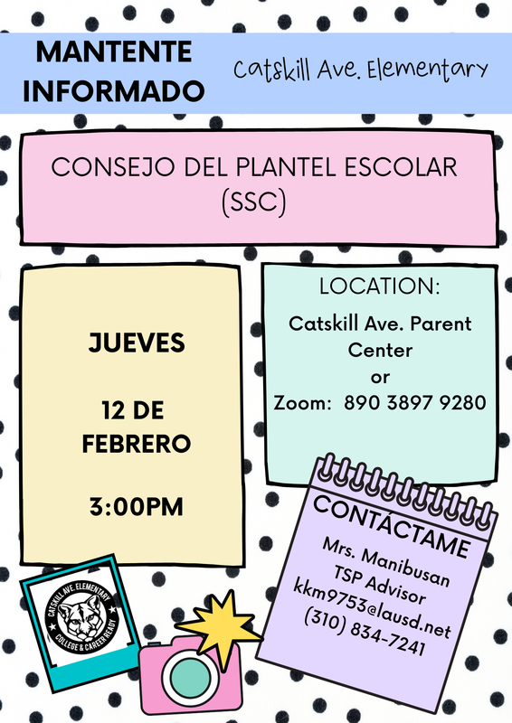 SSC Flyer 6 Spanish