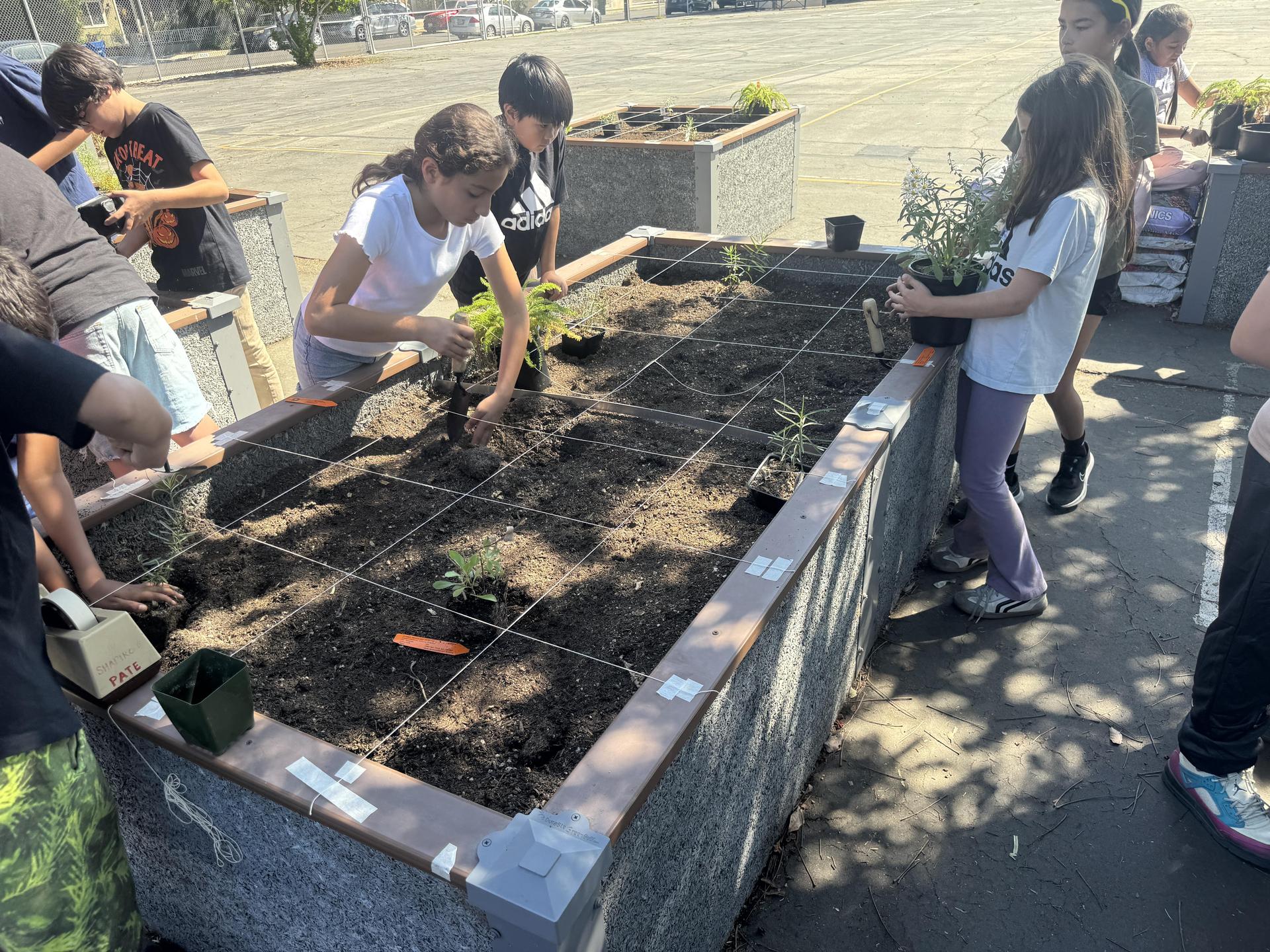 Lorne's Monarch Butterfly Sanctuary Garden