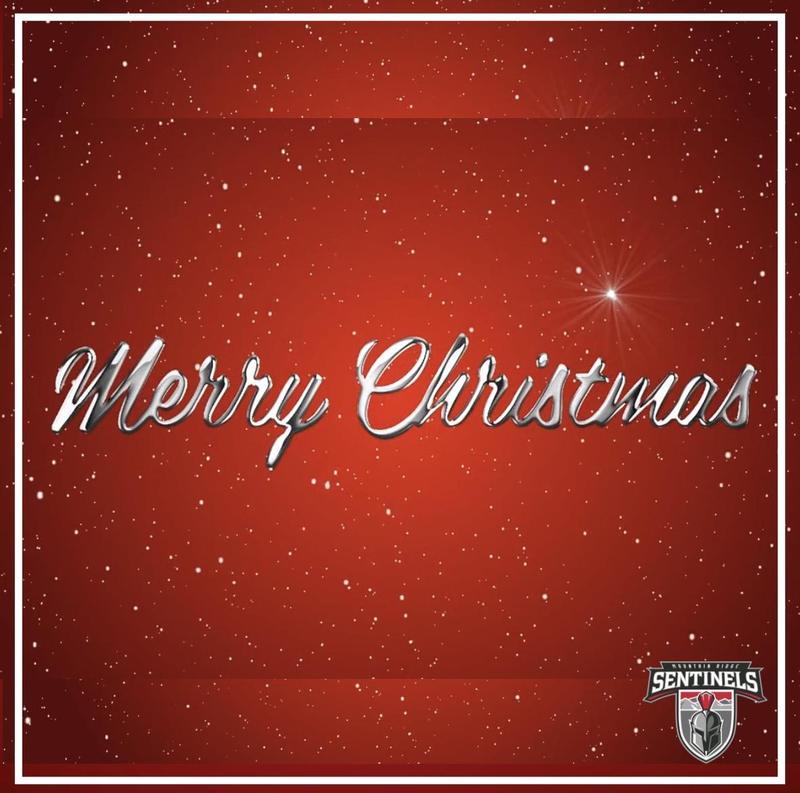 Merry Christmas 2025