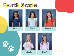 Wildcats representing Respect for Others