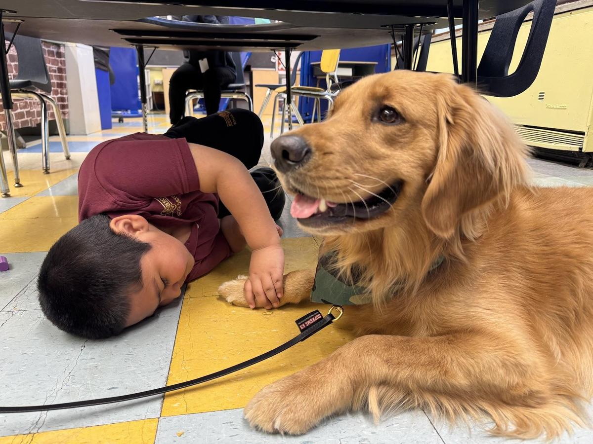 student laying down with golden retriever