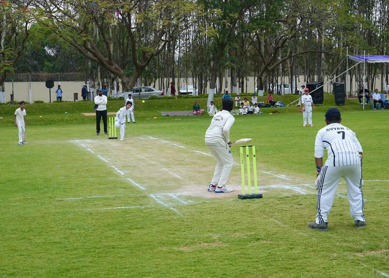 Junior Cricket Viper Cup 2026