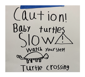 SLOW caution baby turtles crossing sign