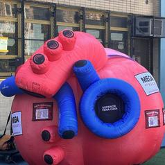 A large inflatable model of a heart with various colors and labels.