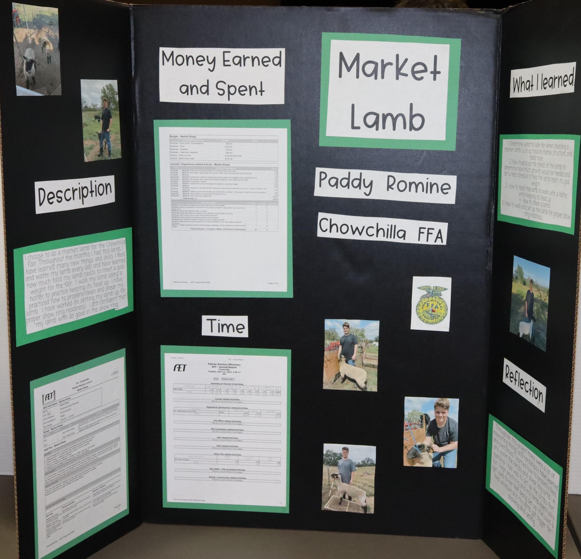 A Supervised Agricultural Experience trifold display