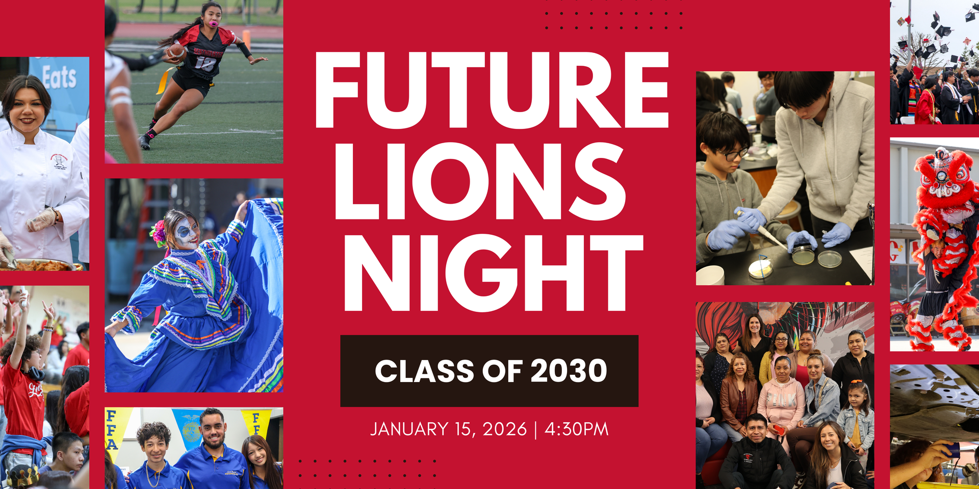 Future Lions Banner
