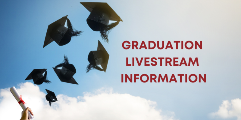 Livestream Logo