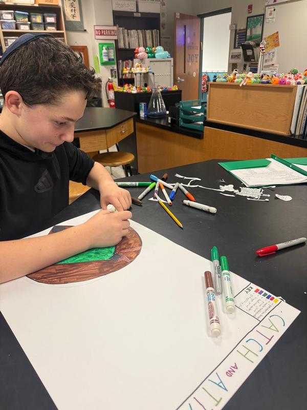 A seventh grade student working on their skeleton poster