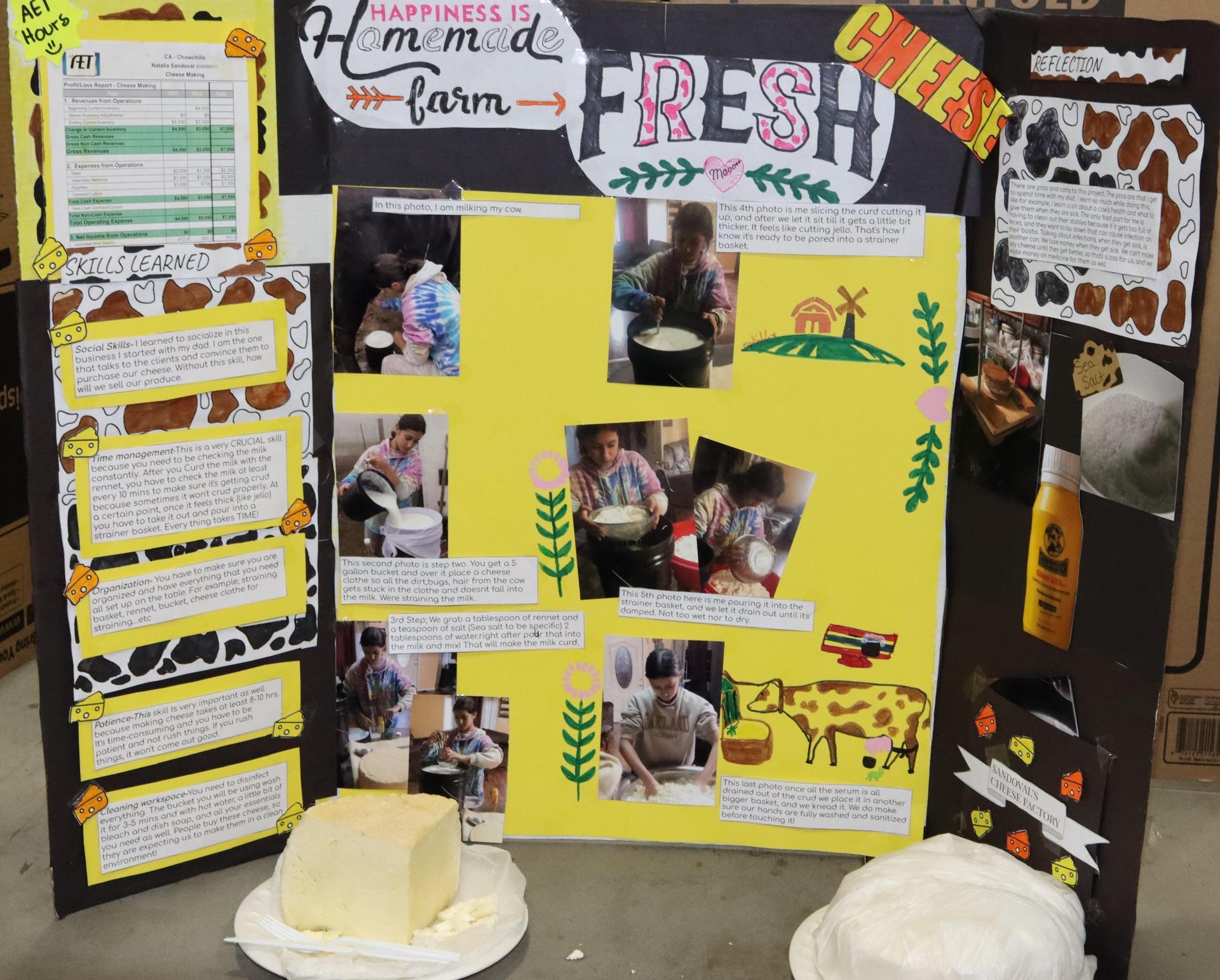 A Supervised Agricultural Experience trifold display