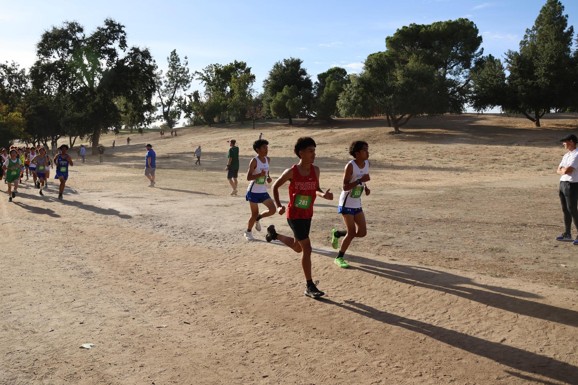 cross country runners in action