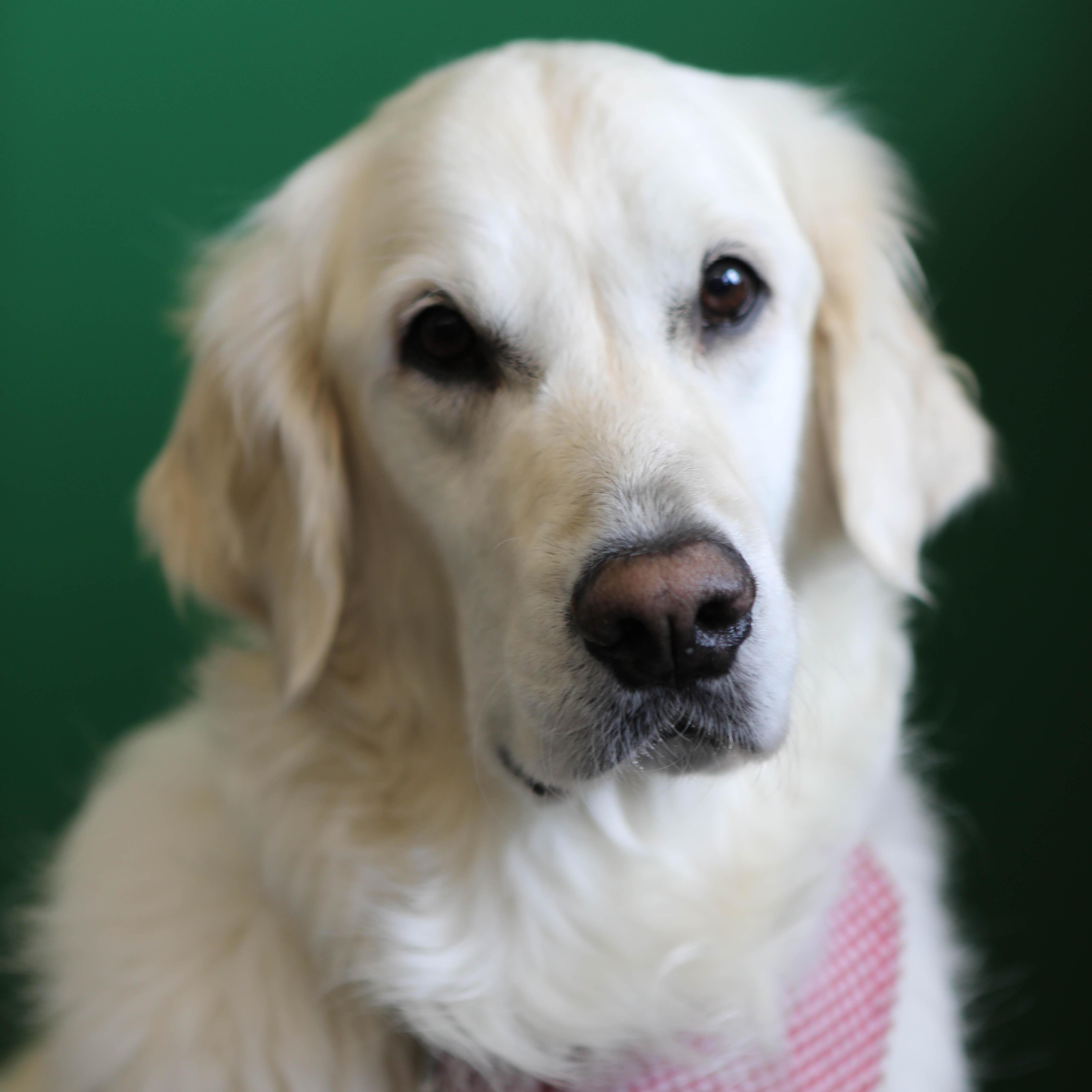 ZoeSlater's Profile Photo