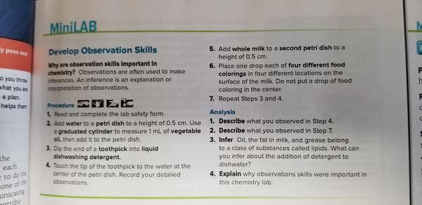 MiniLab p.13 Develop Observation Skills.jpg