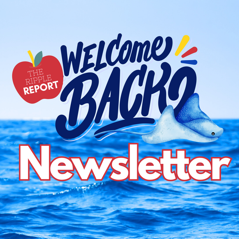 Newsletter Icon