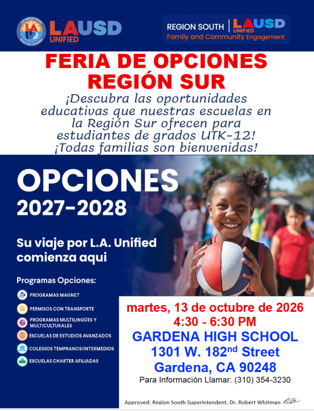 Region South Choices 10-13-26 spanish