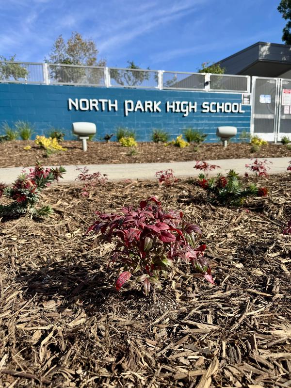 Photos of North Park Continuation High plants