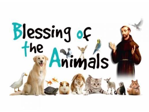blessing of animals