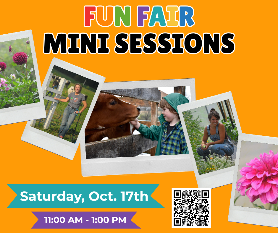Fun Fair Mini Sessions