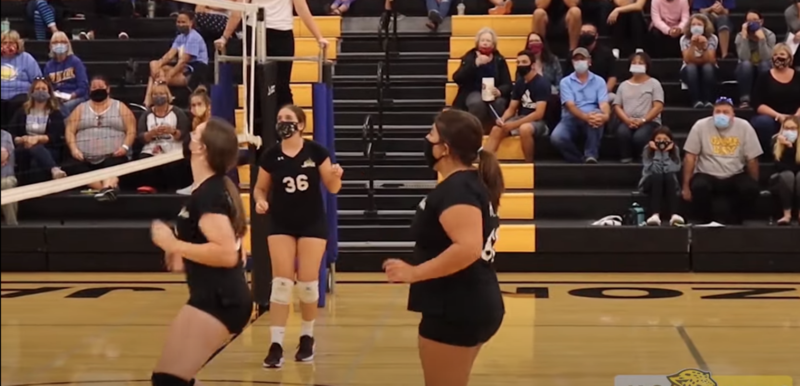 Volleyball Fans
