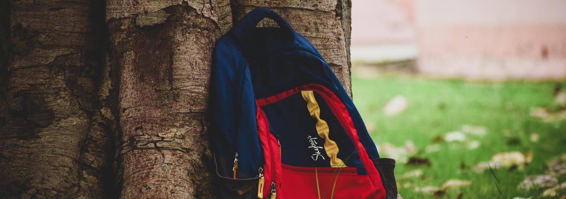 Backpack leaning on tree