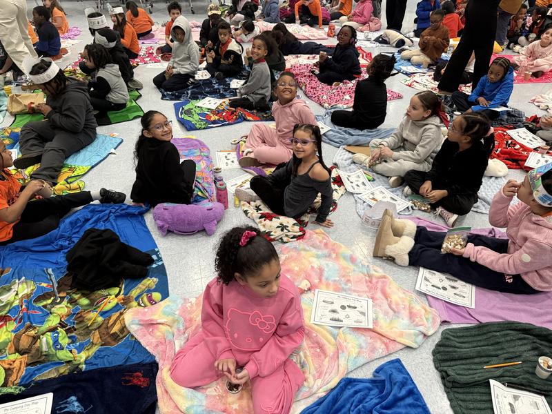 1st and 2nd Grade Reading Camp