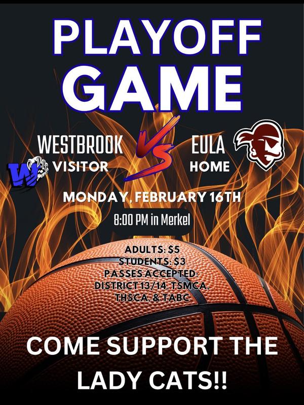 HS Girls Bi-District Game Info