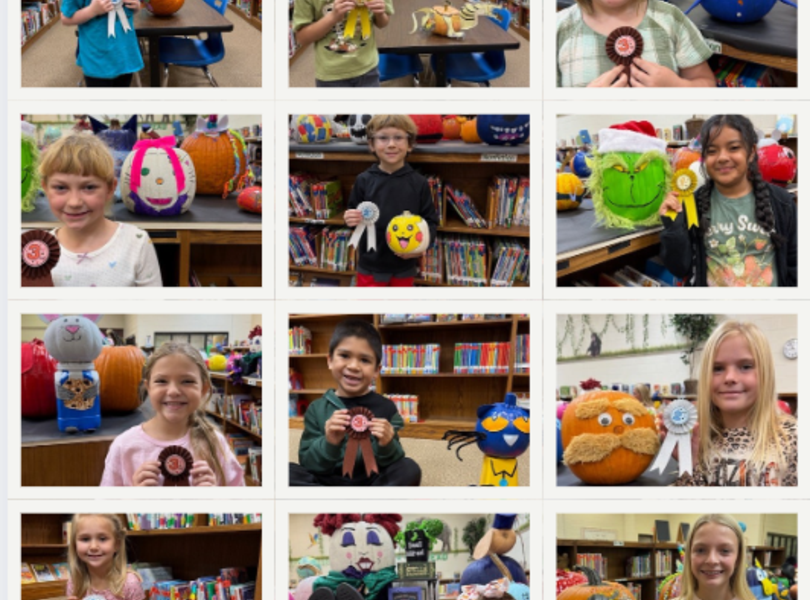 Pumpkin Contest