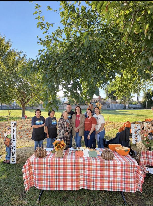 Alcott Pumpkin Patch Photos - image for news story