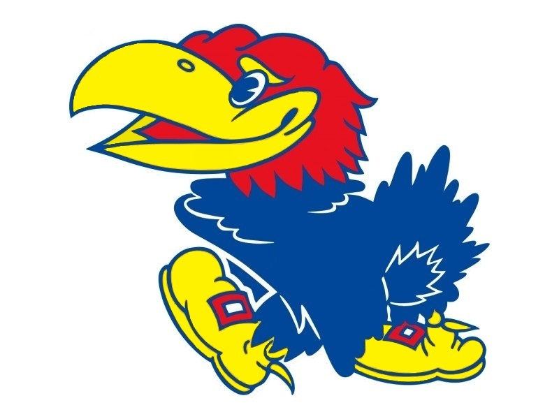Jayhawk Picture