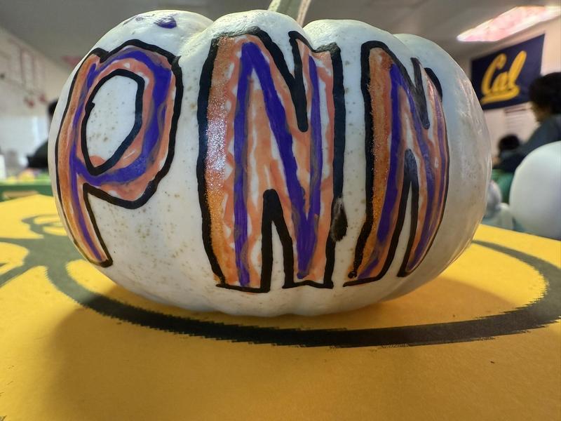 PNN Pumpkin