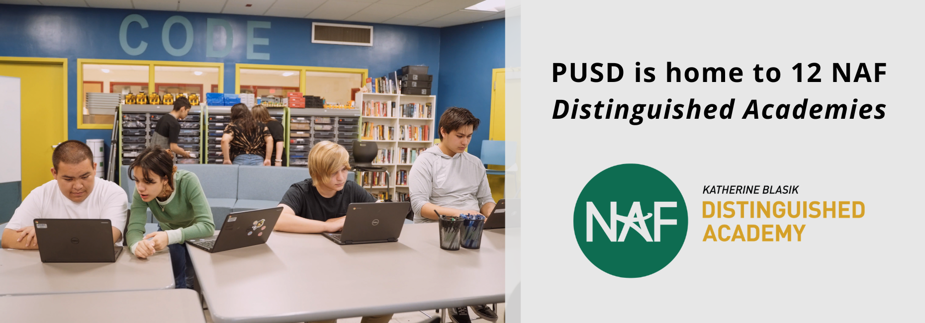 12 Distinguished NAF Academies