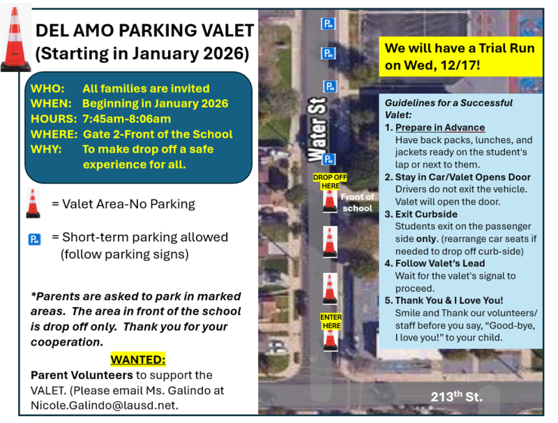 Valet Flyer