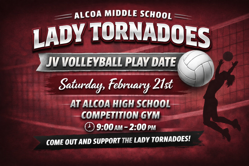AMS Volleyball JV playdate