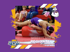 promo graphic - boys wrestling regional