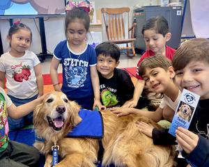 Students sit in a circular around a golden retriever therapy dog