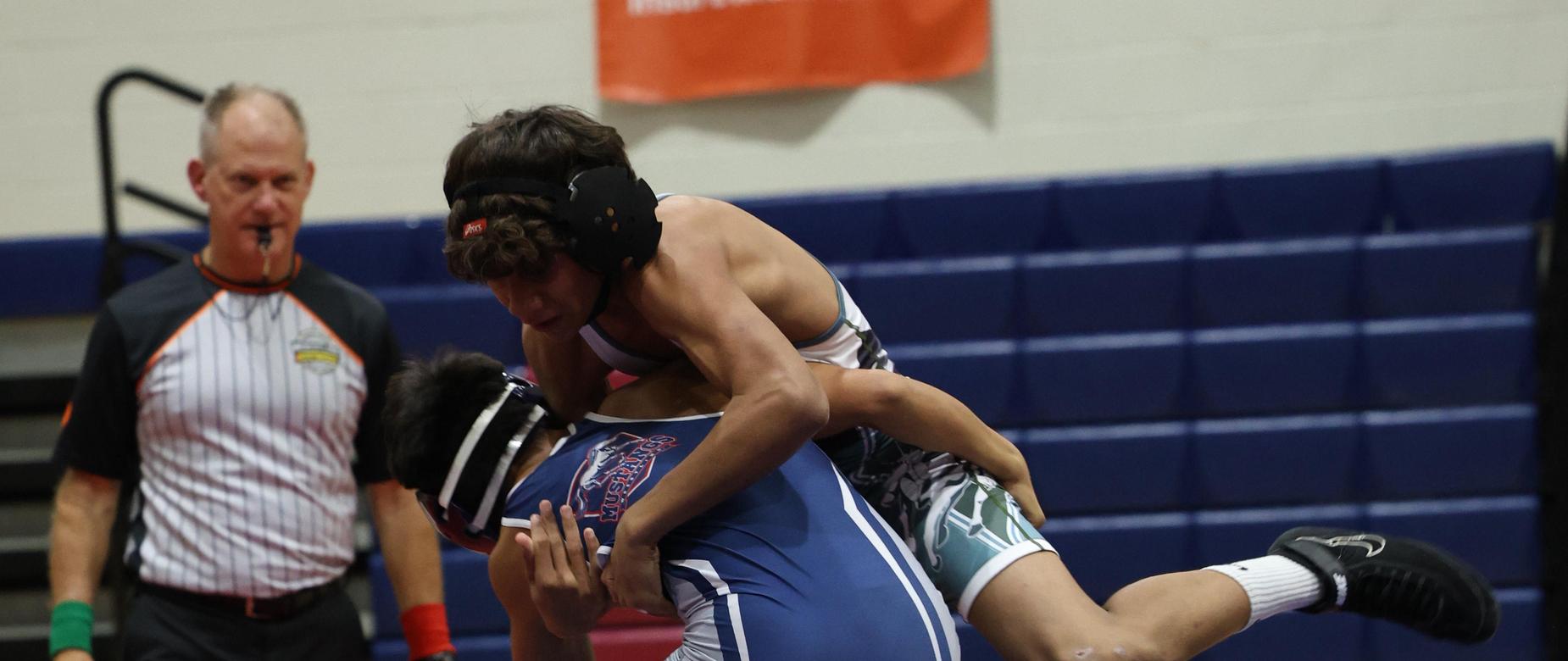 wrestle