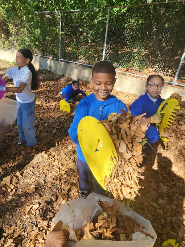 a boy racking leaves at a park