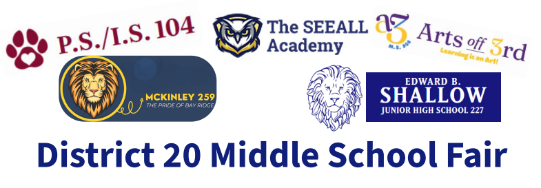photo of ms fair flyer featuring d20 school logos