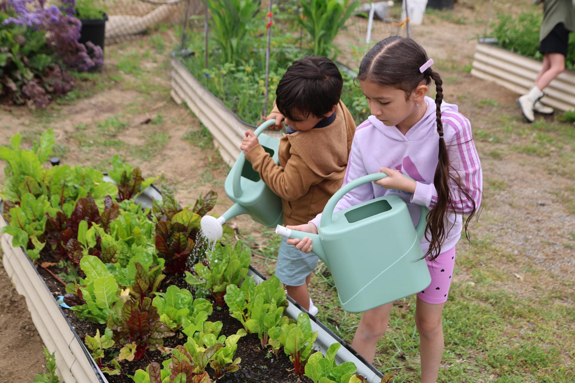 Students watering plants in the garden.