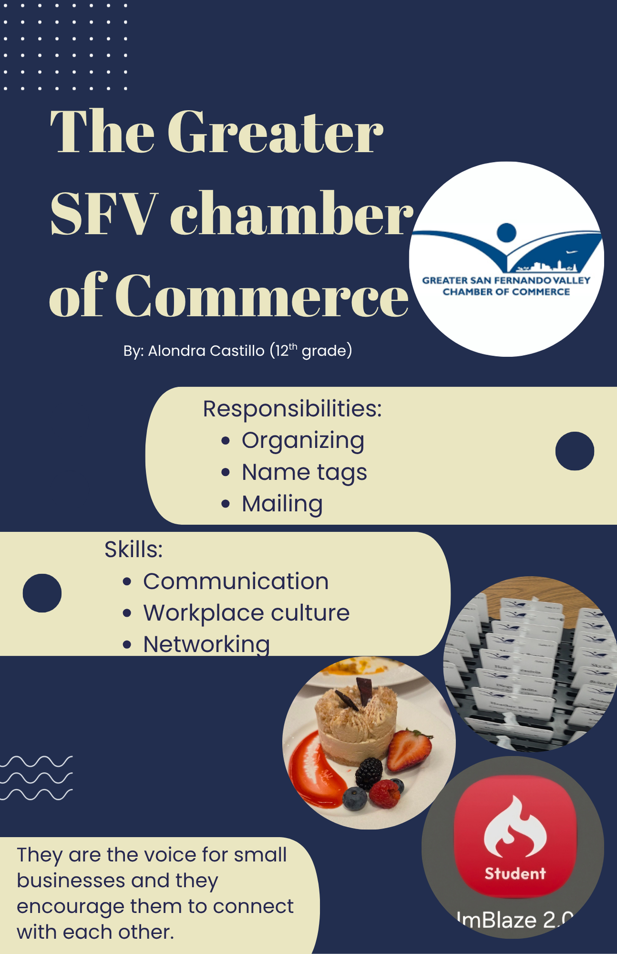 Chamber of Commerce internship Video