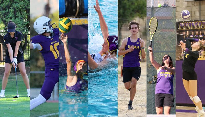 montage of fall sports athletes