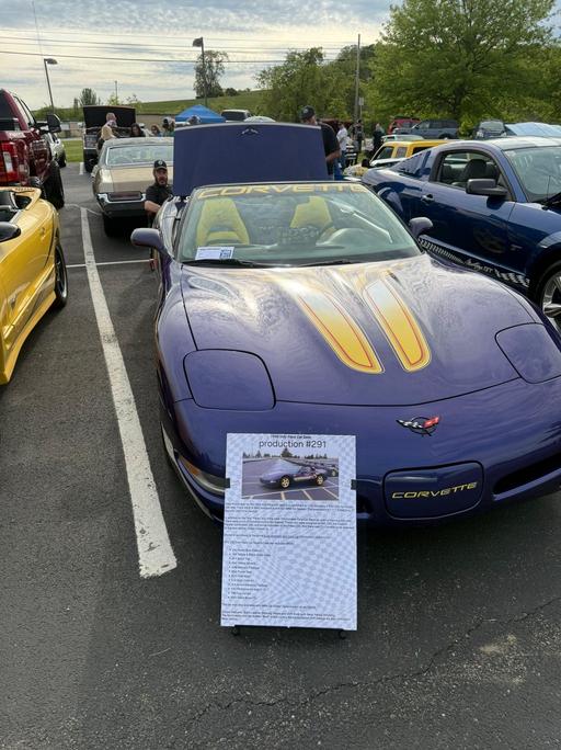 Pictures from the car show.