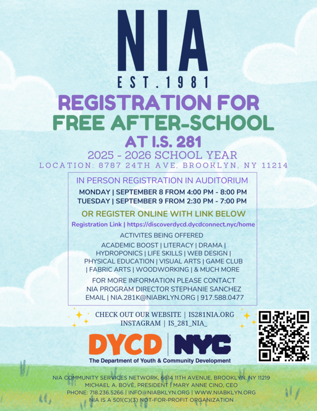 NIA Flyer