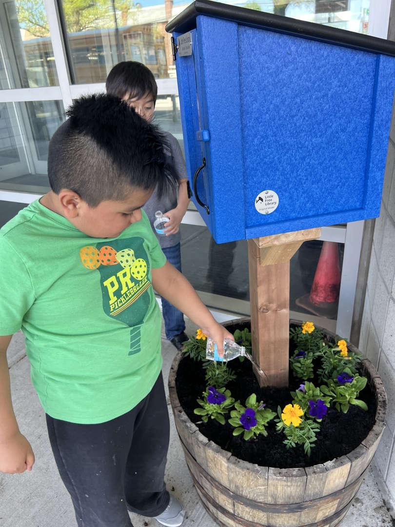 A child watering flowers around a blue little free library outside a building.