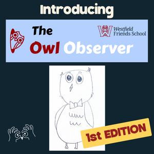 The Owl Observer latest news (1).png