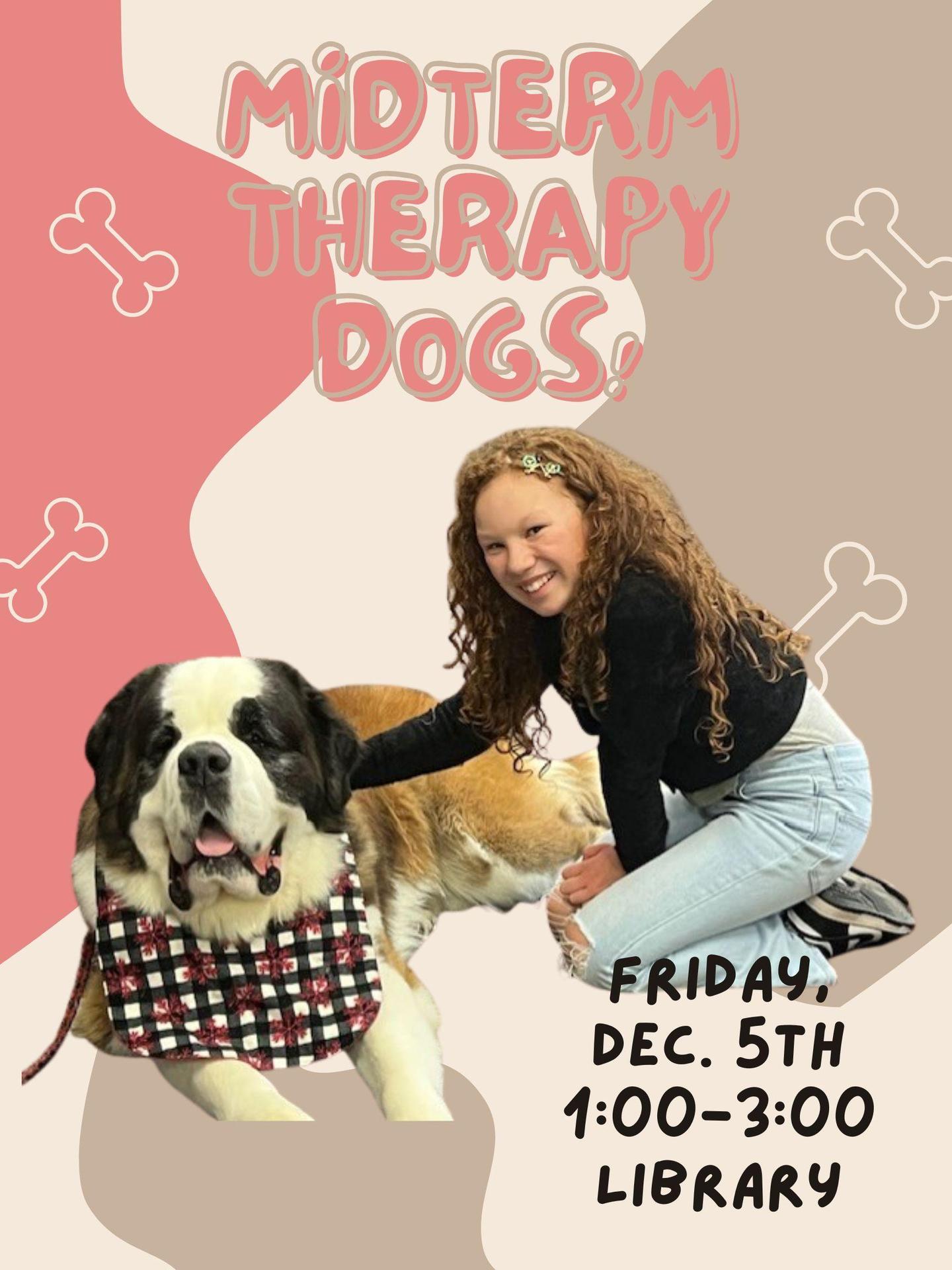 midterm therapy dogs